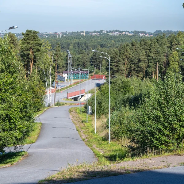 Лыжероллерная трасса